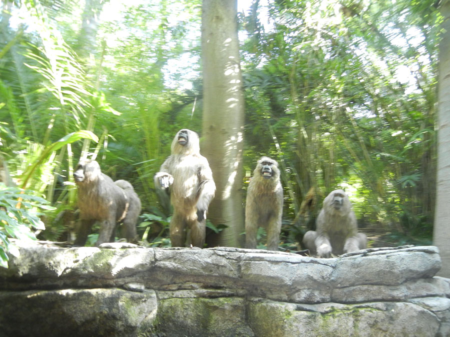 Disneyland Jungle Cruise in Adventureland